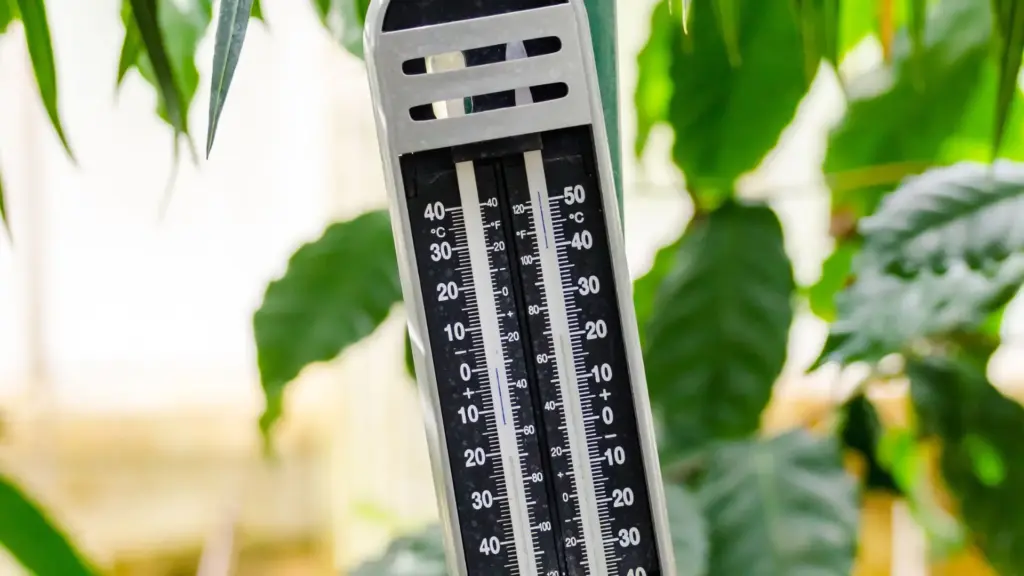 Drivhus termometer